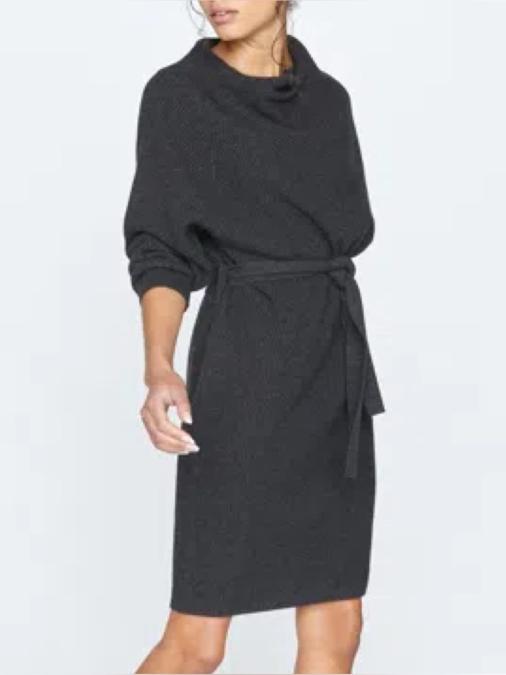 Brochu Walker Belted Sweater Dress